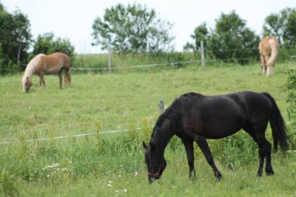 J'ai hâte à l'été!  (CT)  