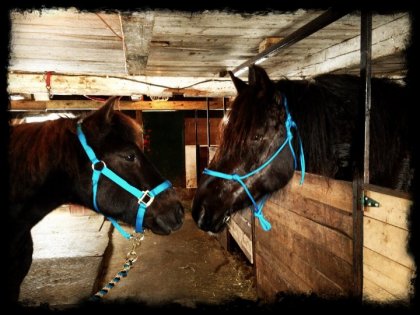 Beau duo!