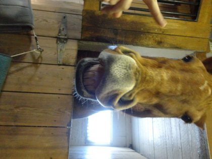 Mon gros qui fait des beaux sourires! Prochain tour: la jambette...