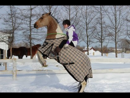 Cabrer dehors ! cordelette 