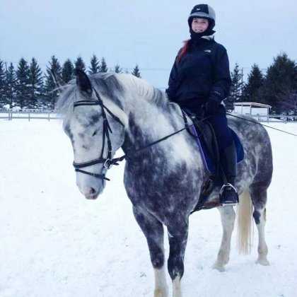 Aslan, le cheval avec lequel j'apprends le dressage (ma...
