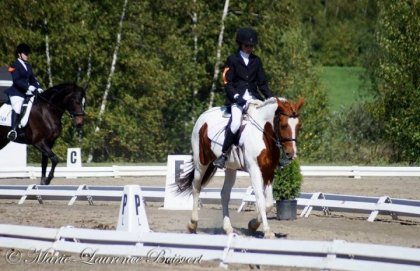 Jeux équestre du québec 2013, avec Daisy day!