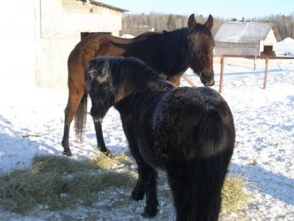 photo par shelby:)
