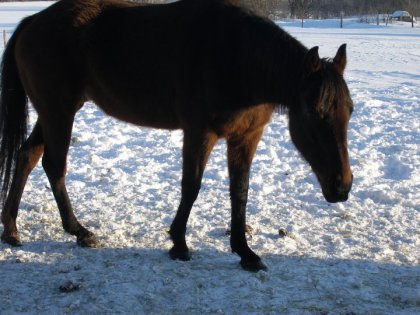 photo par shelby:)