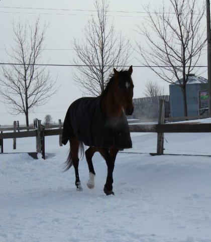 photo par rozalee02