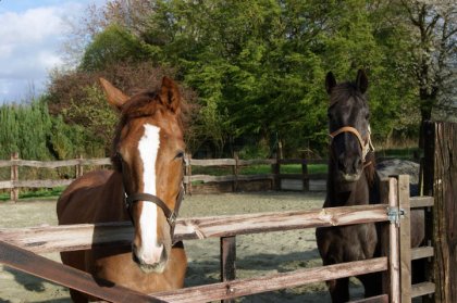 Fanny et Max