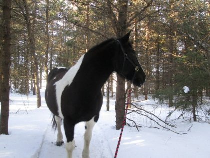 Ma douce dans la neige!