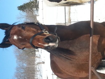 photo par cyn487