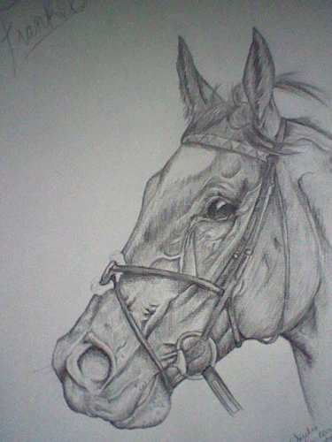 Frankel