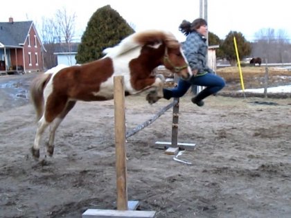 C'est qui le meilleur au saut ? Moi ou Turbo ... ahahha