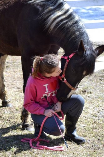Pour parler à un cheval,il n'y a pas besoin de mots,c'est une...