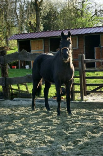Max aime prendre la pose pour les photos!