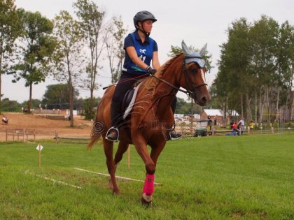 TREC de Mirabel 2013