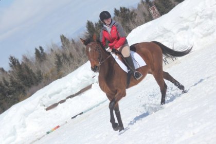 Dressage amicale d'hiver :)
