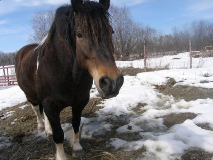 mon amour de charly :)