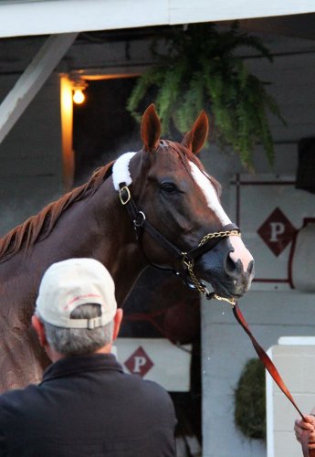 Mon cheval California Chrome a gagné le Kentucky Derby :) 
