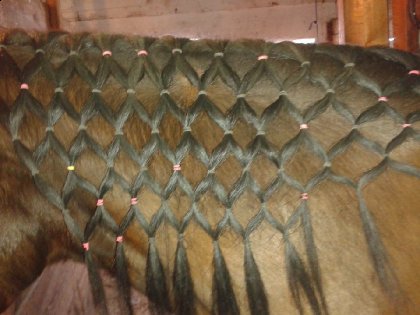 Voici un damier que j'ai fait hier juste avant de partir,...