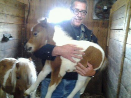 Un homme tient un poulain dans ses bras