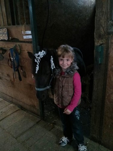 Fillette et poney