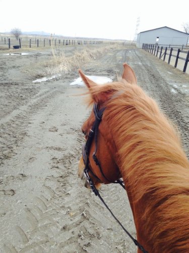 Mini rando avec le meilleur cheval :)
