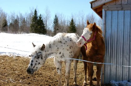 Nova et Adèle, trop mignone<3