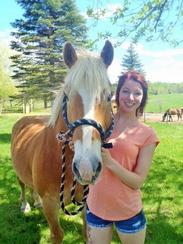 haflinger de face avec sa propriétaire