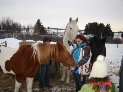 Des gens parmis les chevaux