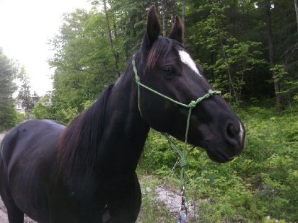 Faye l'amour de ma vie <3 durant une de nos marches quotidienne...