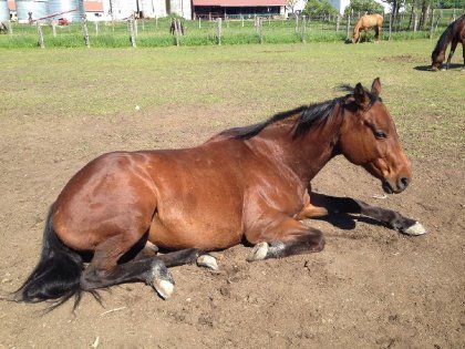 Nouvelle position pour dormir 