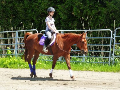 On fini de rider les rênes longues ! Belle fille qui garde la...