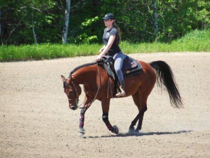 Poney qui commence à bien se placer au galop :)