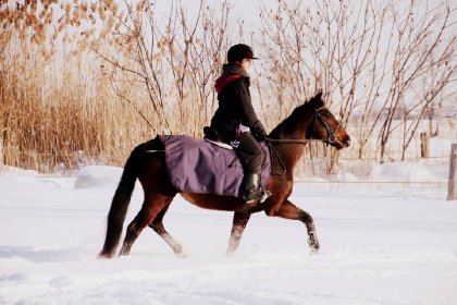 Photo qui date de cette hivers! On a l'impression de trotter sur...
