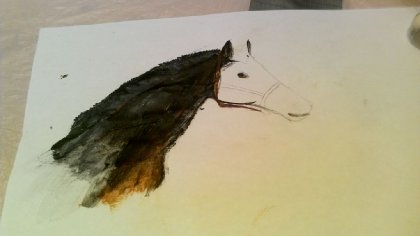 Début de mon premier cheval en peinture! Avis?:)