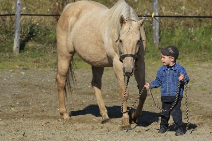 Regardez l'attention que porte Lady sur mon fils!