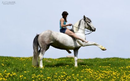 La jambette
