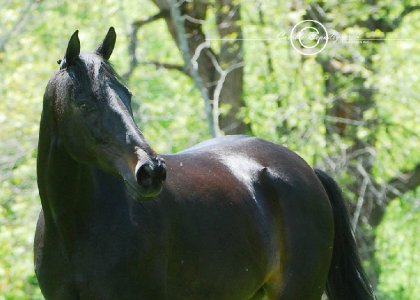 photo par AliLacoste