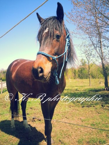 Mon bébé <3