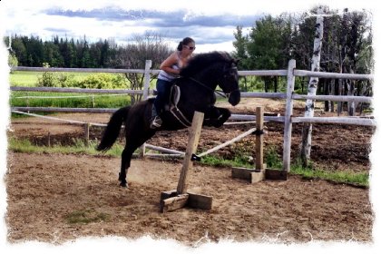 Saut de 3' avec mon poney!