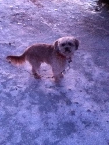 Mon petit Gazou <33