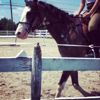 Mon beau Picasso d'amours <3 <3 <3 