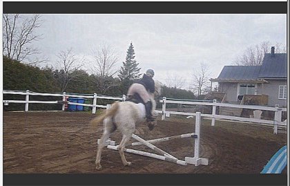 saut avec chester  3 sauts a vie
