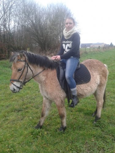 Princesse