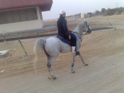 photo par ahmed1