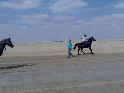 photo par ahmed1