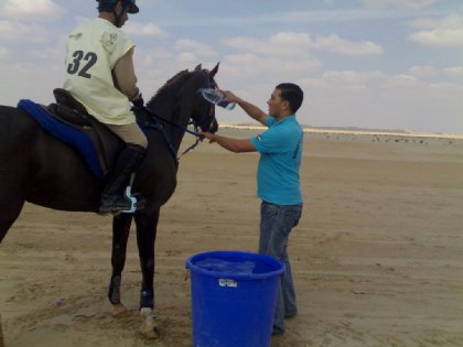 photo par ahmed1