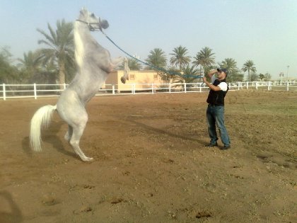 photo par ahmed1