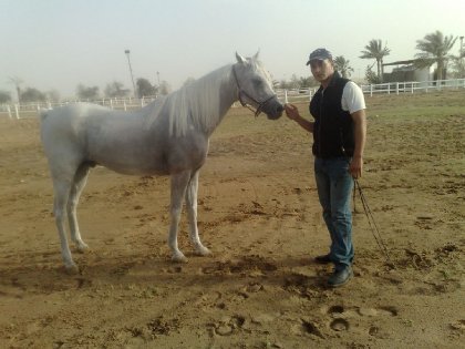 photo par ahmed1