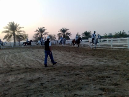 photo par ahmed1