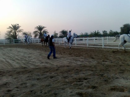 photo par ahmed1