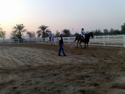 photo par ahmed1